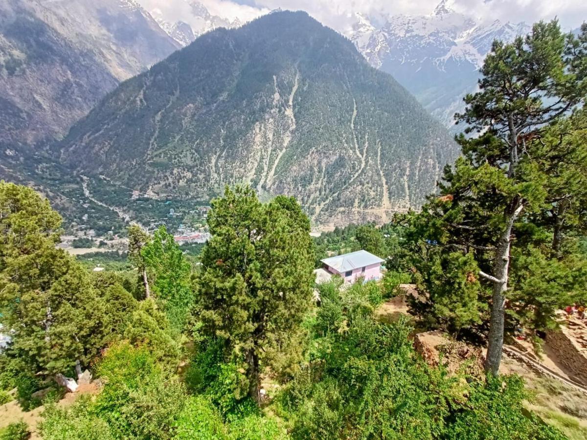 The Shudarang Inn Кальпа Экстерьер фото