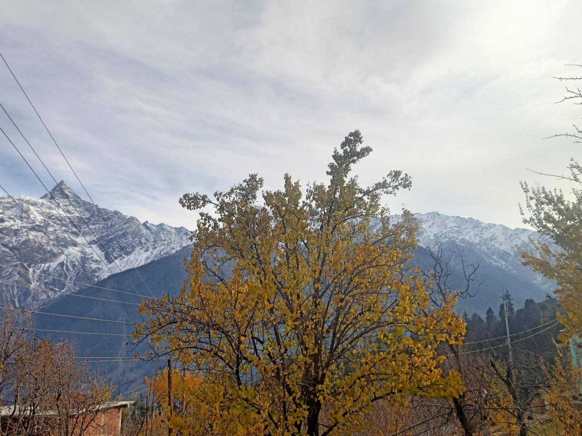 The Shudarang Inn Кальпа Экстерьер фото